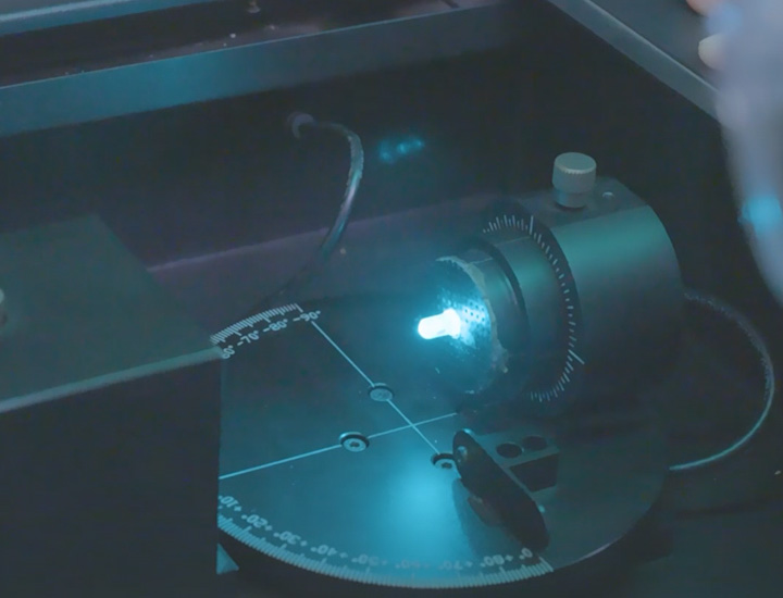 ทุ่งหญ้าสีเขียว